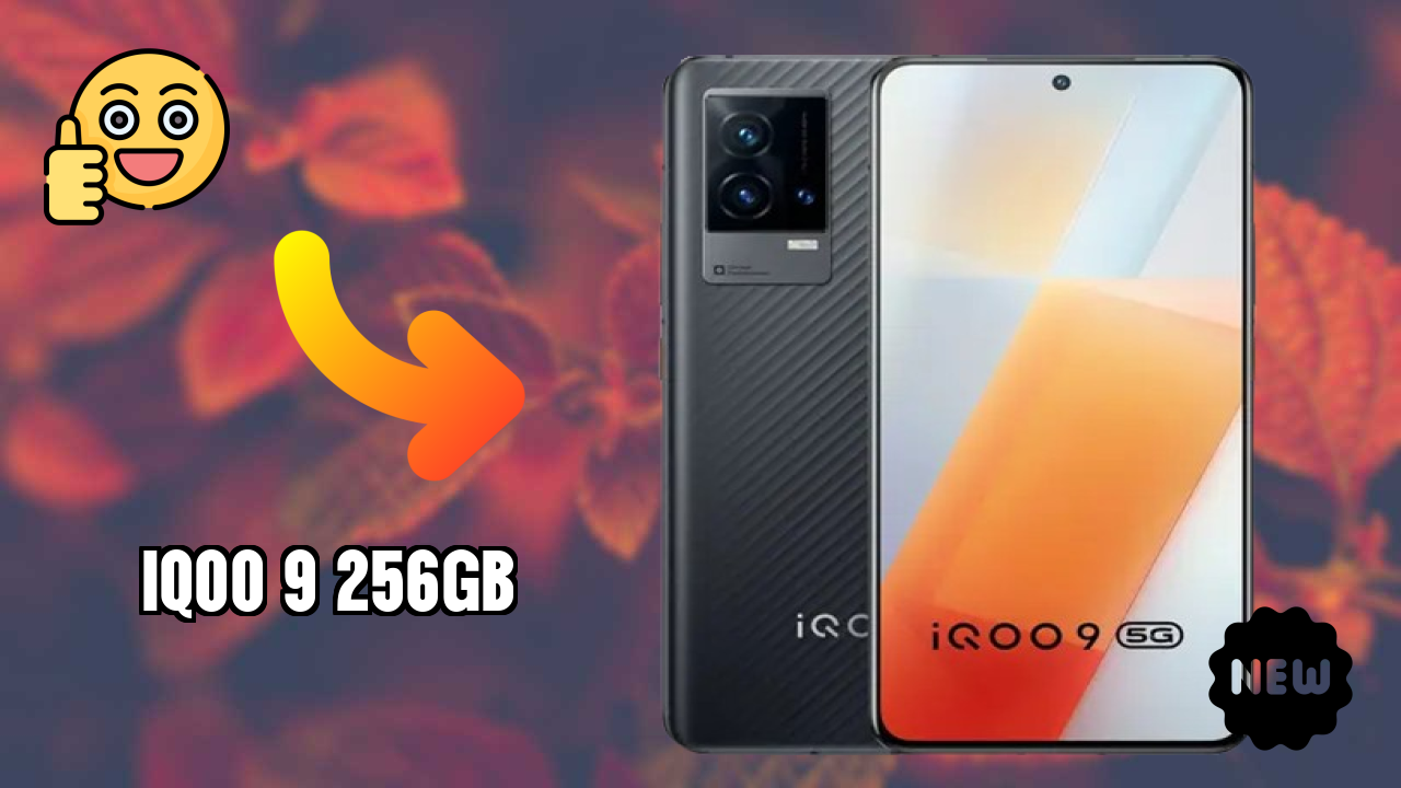 IQOO 9 256GB Camera Test: 48 MP + 13 MP + 13 MP Rear Camera Sample Photos